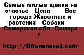 Самые милые щенки на счастье › Цена ­ 1 - Все города Животные и растения » Собаки   . Самарская обл.,Самара г.